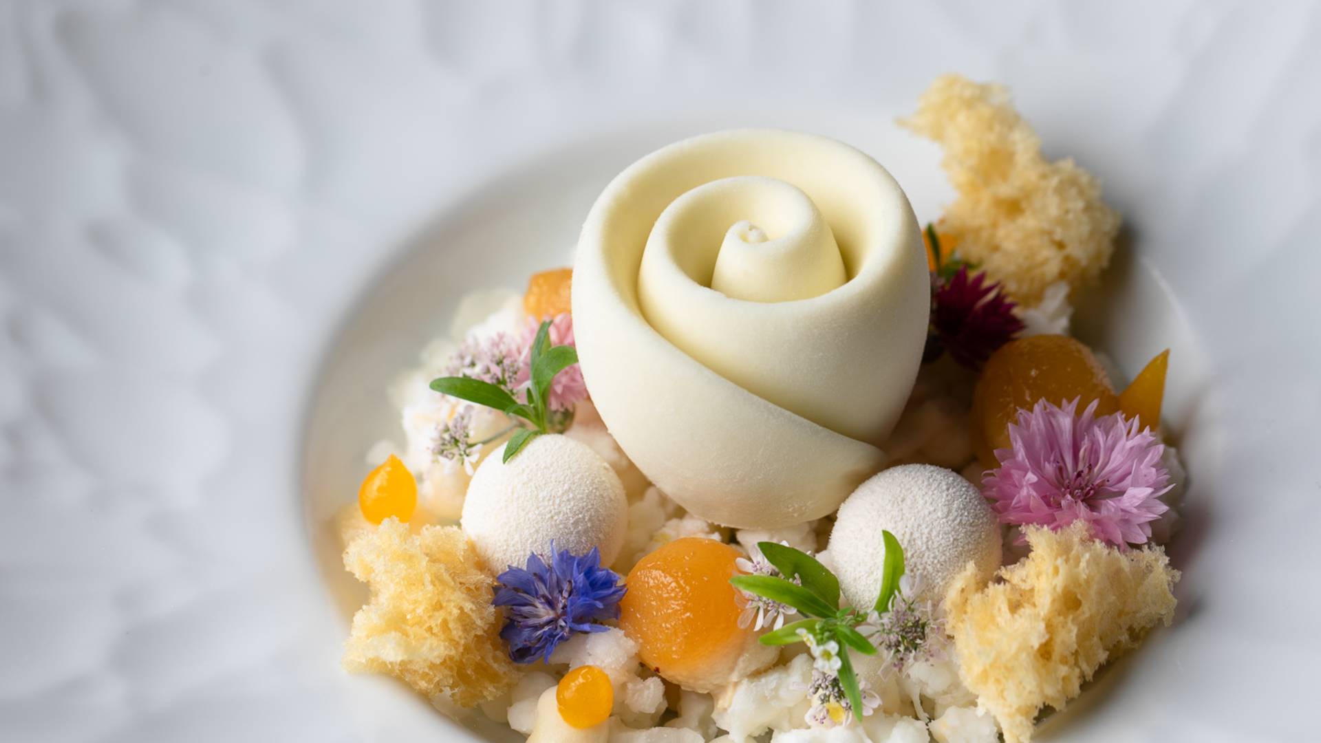 Capolinea Signia by Hilton Atlanta World Congress Center